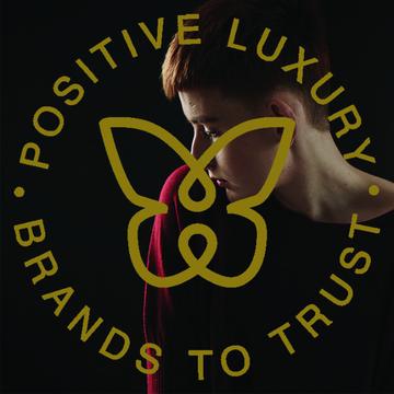 Positive Luxury Award!
