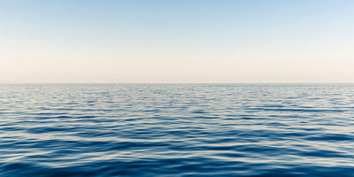 What is Your Water Footprint?