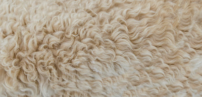 Merino Wool FAQs
